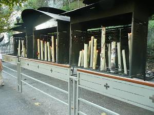 LOURDES 2010   (20)